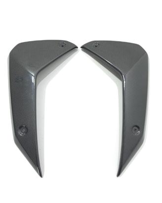 FIANCHETTI LATERALI RADIATORE CARBONIO BMW R1300GS