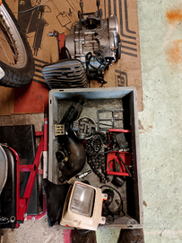 Trial fantic 245 a smembro