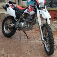 Yamaha ttr 600