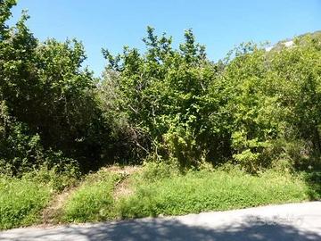 RGE 145/2012 Trib Patti - LOTTO 4