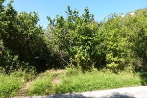 RGE 145/2012 Trib Patti - LOTTO 4