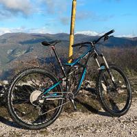 Mtb enduro specialized