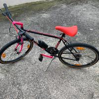 Montain bike Bottecchia