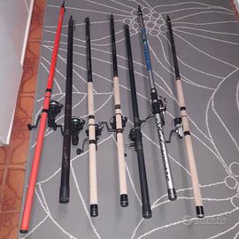 Canne da pesca e mulinelli(daiwa, shimano, triana