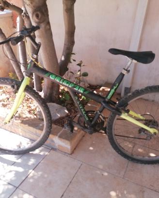 bici mountain bike 