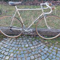 Filotex Branca squadra corse 