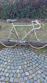 Filotex Branca squadra corse 