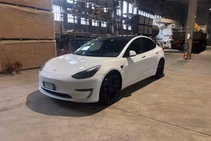 TESLA MODEL 3 performance