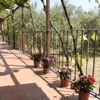 Casa vacanza Etna Evergreen