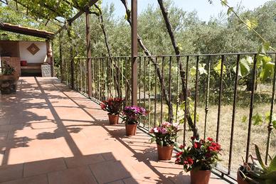 Casa vacanza Etna Evergreen