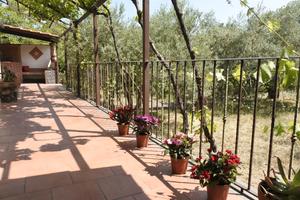 Casa vacanza Etna Evergreen