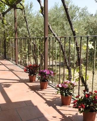 Casa vacanza Etna Evergreen