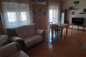 Bivani, Transitorio, arredato da 1 a 18 mesi