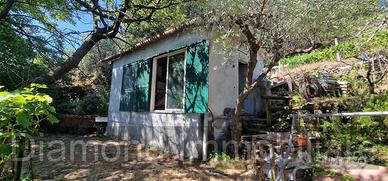 Casa con terreno a Presa Piedimonte Etneo
