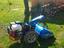 Immagine 3