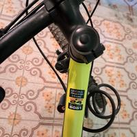 bici mtb taglia 24