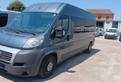 FIAT DUCATO Omol. autovettura (C39)