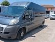 FIAT DUCATO Omol. autovettura (C39)