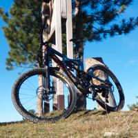 specialized enduro carbon Expert 950b