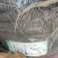 gomme estive  185/55R15