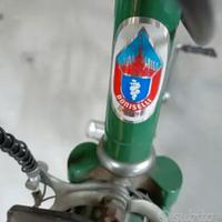 Bici da uomo Doniselli Sport