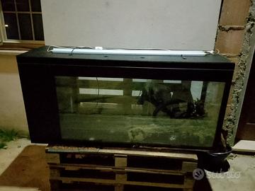 acquari di varie grandezze