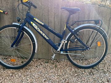 City Bike shadow 4000