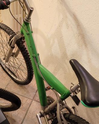 Mountain bike