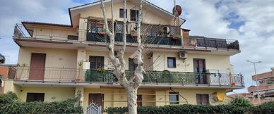 3 LOCALI A LADISPOLI