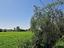 Immagine 28