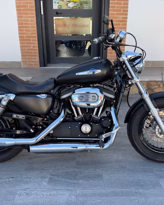 Harley-davidson Sportster 1200 custom