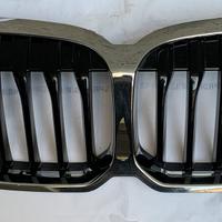 Griglia radiatore BMW F40