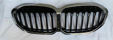 Griglia radiatore BMW F40