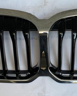 Griglia radiatore BMW F40