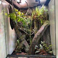 TERRARIO BIOATTIVO