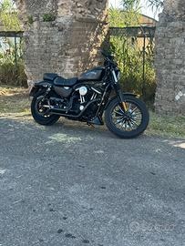 Harley Davidson sportster 883 Iron