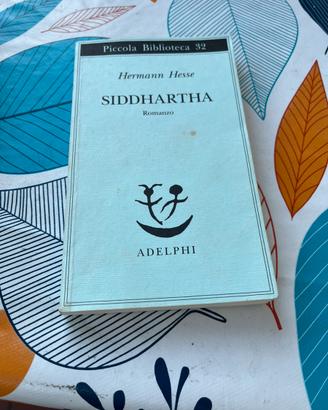 Libro siddharta