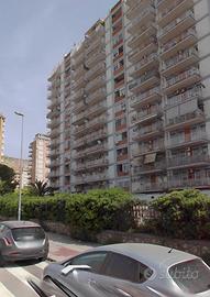 5 vani zona don orione