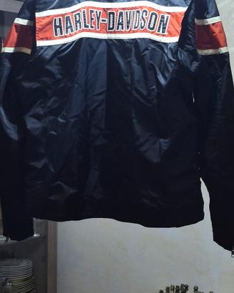 giubbotto  Arley davison