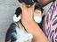 Immagine 1