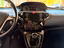 Immagine 12