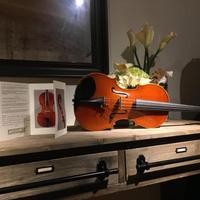 Viola modello Amati 40.80