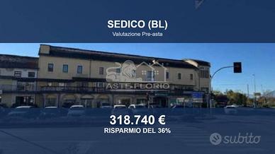 Immobile in asta di 519 m² a Sedico
