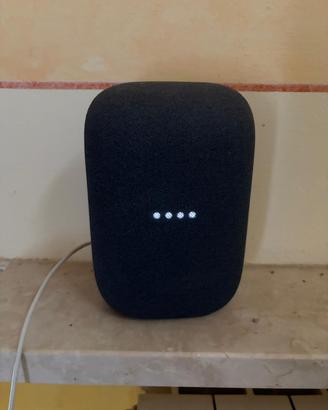 Cassa google home