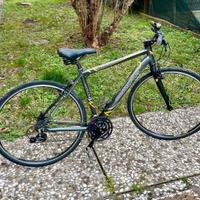 bicicletta Olympia
