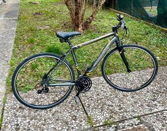bicicletta Olympia