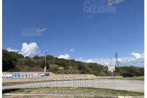 Terreno Agricolo Piombino [A4321289]