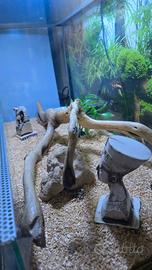 terrario per rettili 