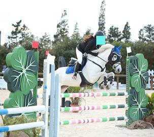 Pony da salto ostacoli