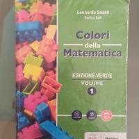 Colori della matematica 1 - Edizione Verde